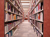 Steacie Library