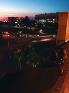 sunset at UF