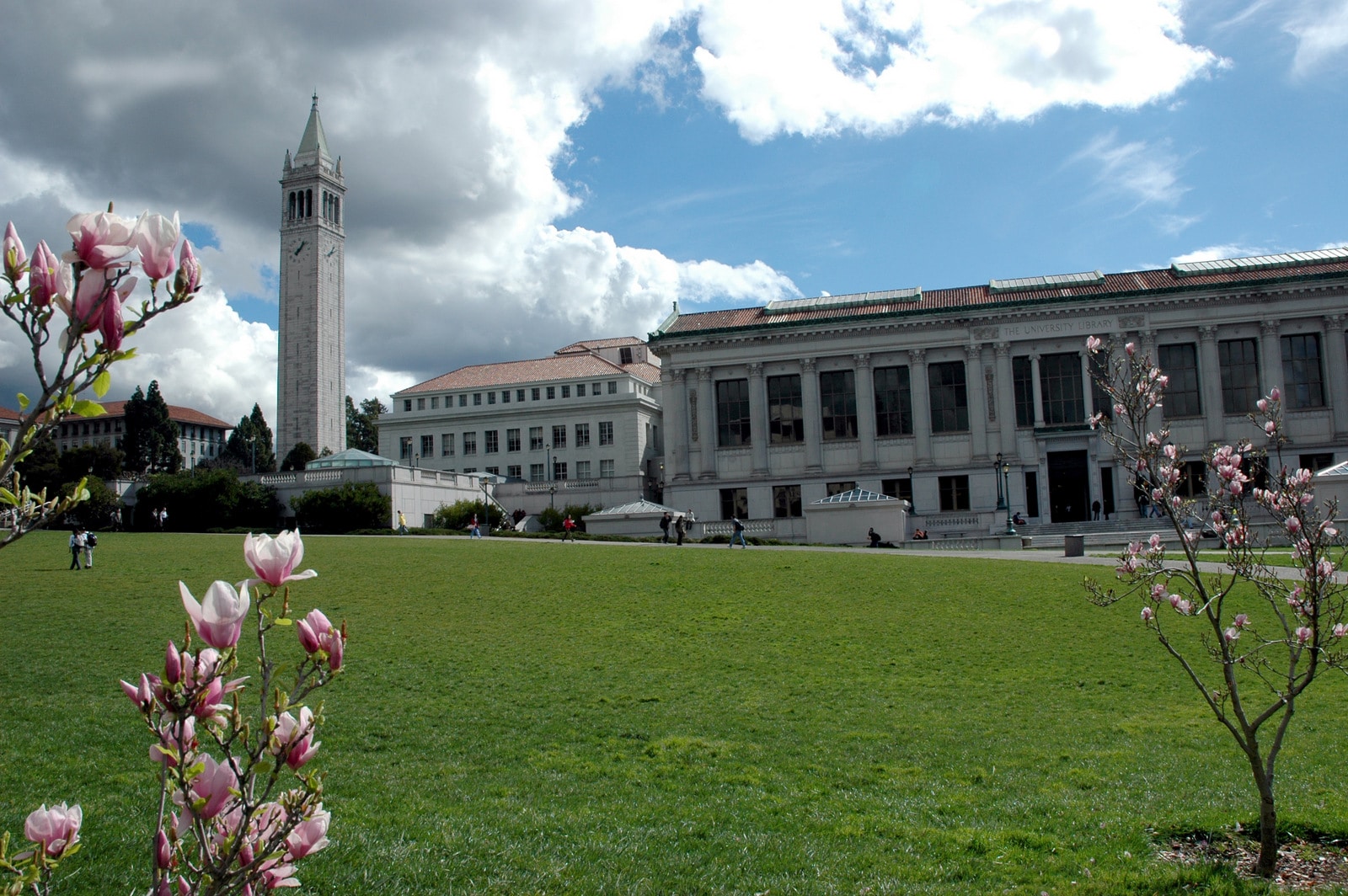 University of California-Berkeley 
